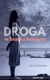 droga-w-blasku-ksiezyca