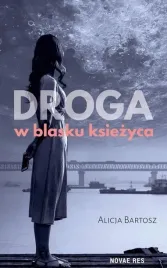 droga-w-blasku-ksiezyca