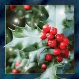 magnes-3d-ostrokrzew