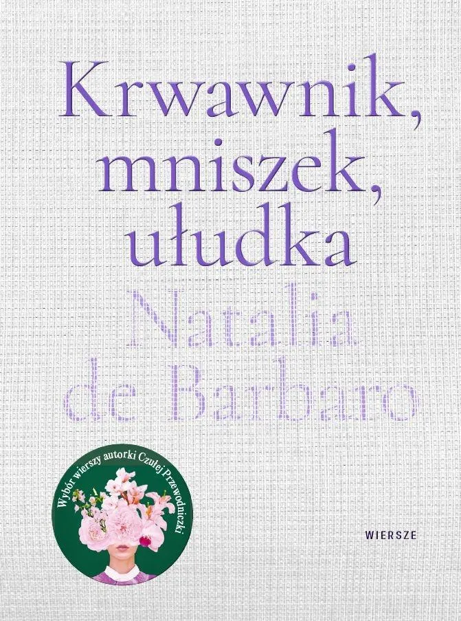 krwawnik-mniszek-uludka