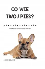 co-wie-twoj-pies