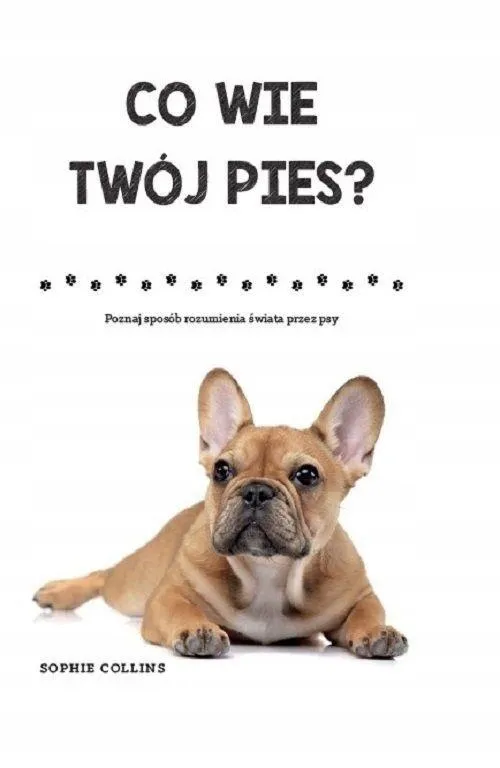 co-wie-twoj-pies