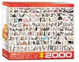 puzzle-2000-swiat-kotow