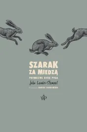 szarak-za-miedza