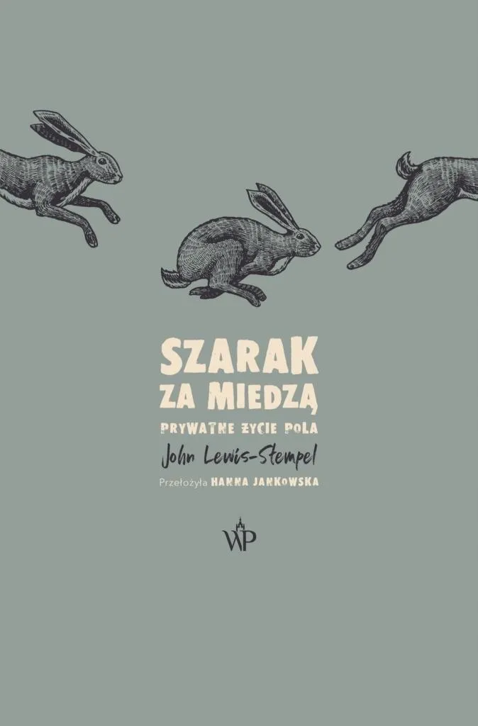 szarak-za-miedza
