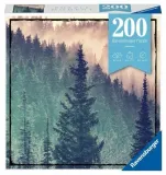 puzzle-moment-200-las