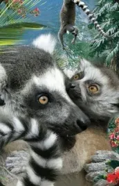 mini-kartka-3d-lemur