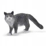 kot-maine-coon