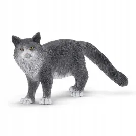 kot-maine-coon
