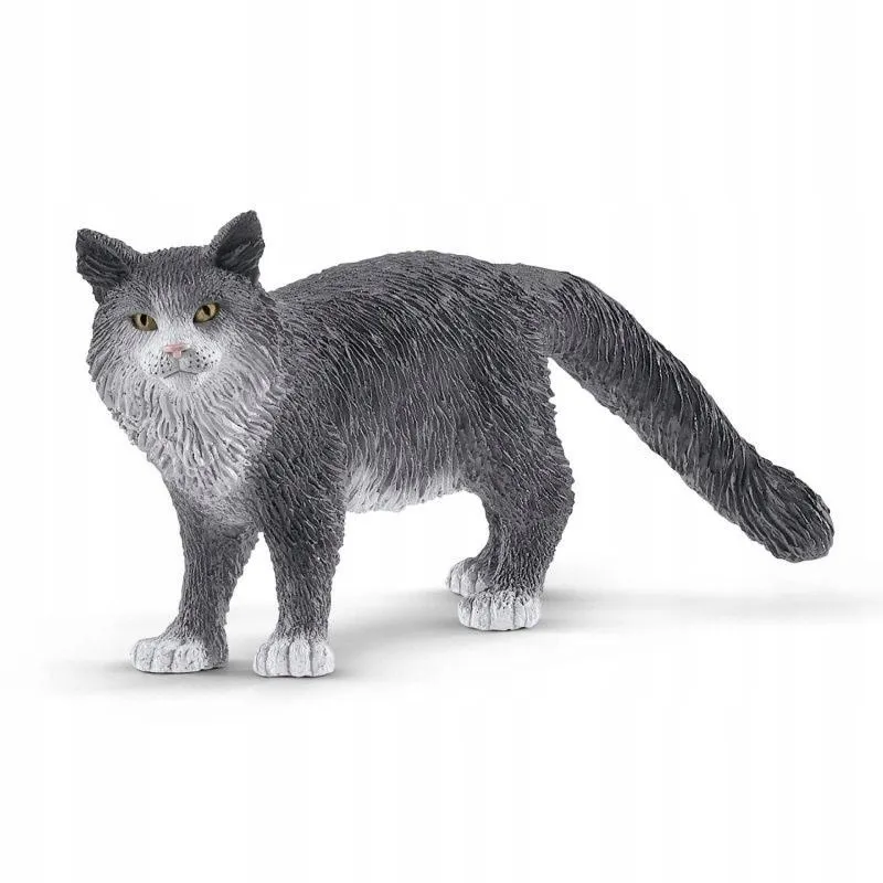 kot-maine-coon