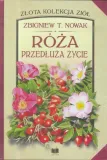 roza-przedluza-zycie