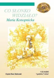co-slonko-widzialo-audiobook