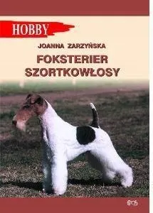 foksterier-szorstkowlosy
