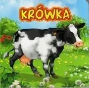 krowka-jafi