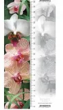 zakladka-3d-orchidea