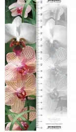 zakladka-3d-orchidea