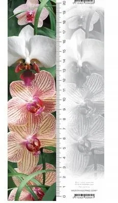 zakladka-3d-orchidea