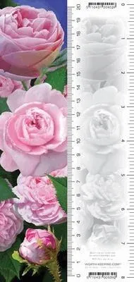 zakladka-3d-roze
