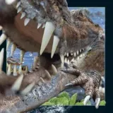 magnes-3d-krokodyl