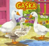 gaska-jafi