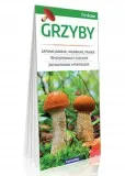 grzyby