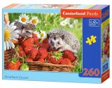 puzzle-260-strawberry-dessert-castor