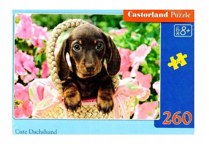 puzzle-260-cute-dachshund-castor