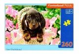 puzzle-260-cute-dachshund-castor