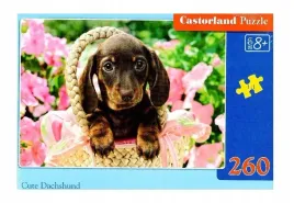puzzle-260-cute-dachshund-castor
