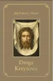 droga-krzyzowa-br-wds
