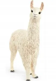 lama