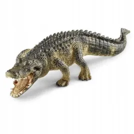 aligator