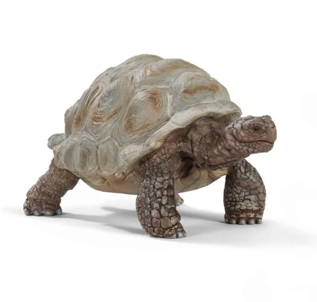 zolw-gigant