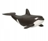 orka-mloda