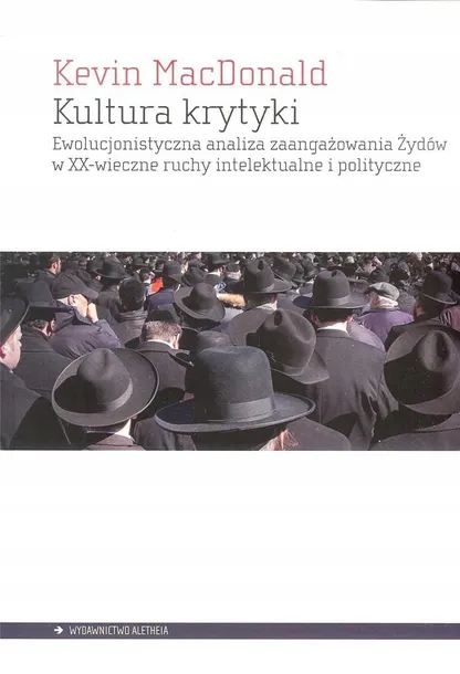 kultura-krytyki