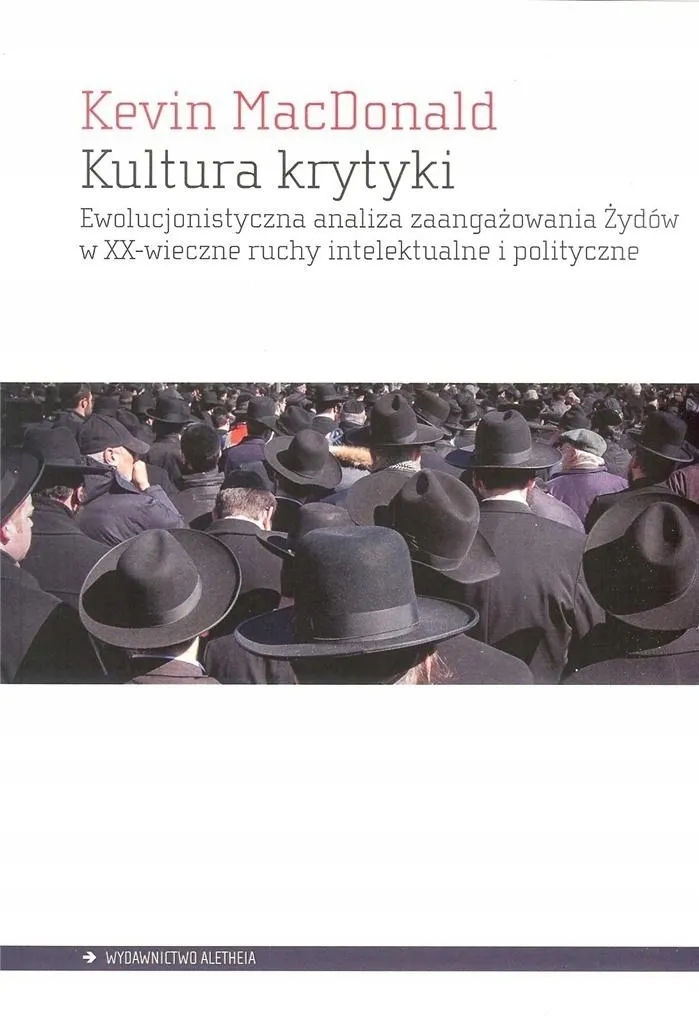 kultura-krytyki
