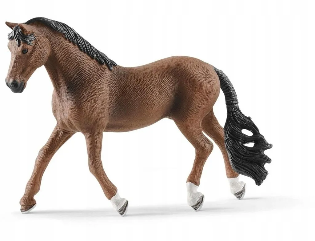 walach-trakehner