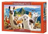 puzzle-1000-lamy-castor