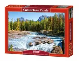 puzzle-1500-athabasca-river-canada-castor
