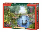 puzzle-1500-czarne-labedzie-castor