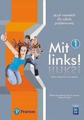mit-links-1-ab-wsip