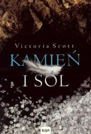 kamien-i-sol-t-2-br