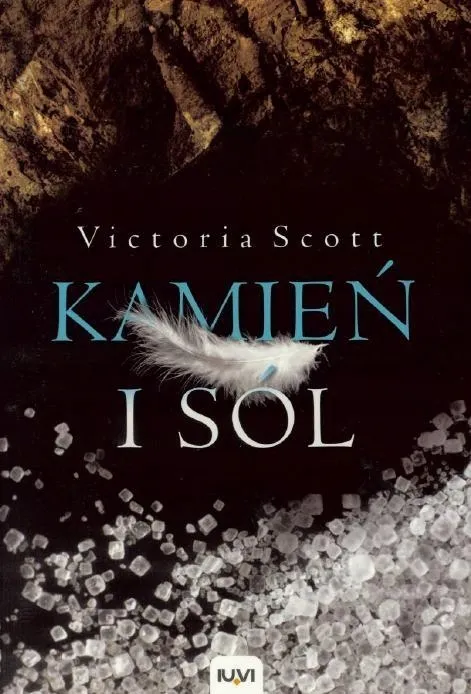 kamien-i-sol-t-2-br