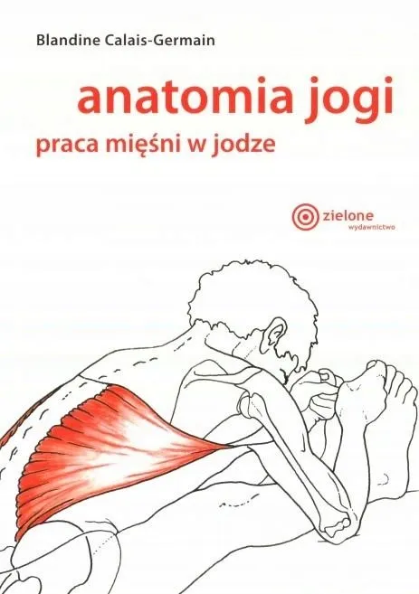anatomia-jogi