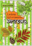 lesna-kolorowanka-drzewa