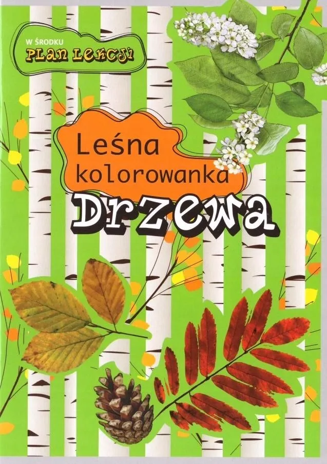 lesna-kolorowanka-drzewa
