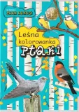 lesna-kolorowanka-ptaki