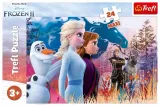 puzzle-24-maxi-magiczna-wyprawa-trefl