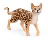 kot-bengalski