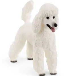 pudel-duzy